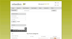 Desktop Screenshot of intandem.com.au